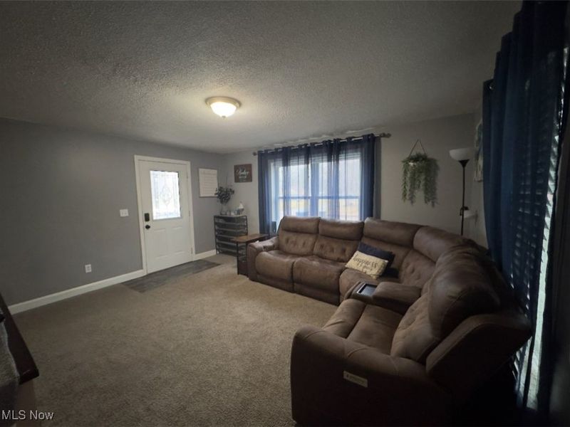 135 Wheeling Avenue, Wellington, OH 44090 Photo 25