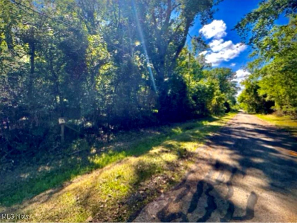 Whittlesey Road, Brownhelm, OH 44001 Main Photo