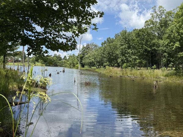 6 Greenfields Way N, Dunlap, TN 37327