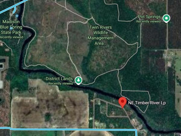 NE TIMBER RIVER LOOP, LEE, FL 32059