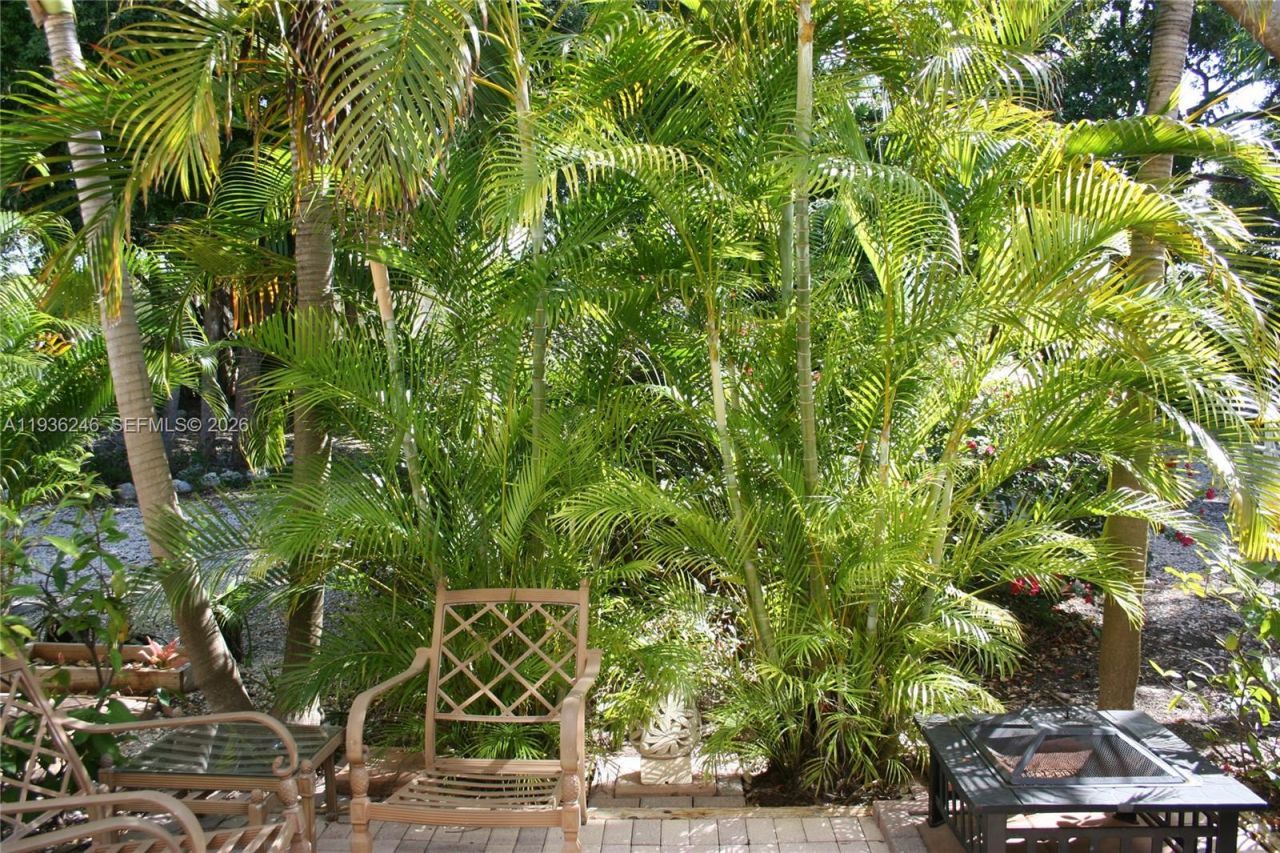 87200 Overseas Hwy, Unit N2, Plantation Key, FL 33036 Photo