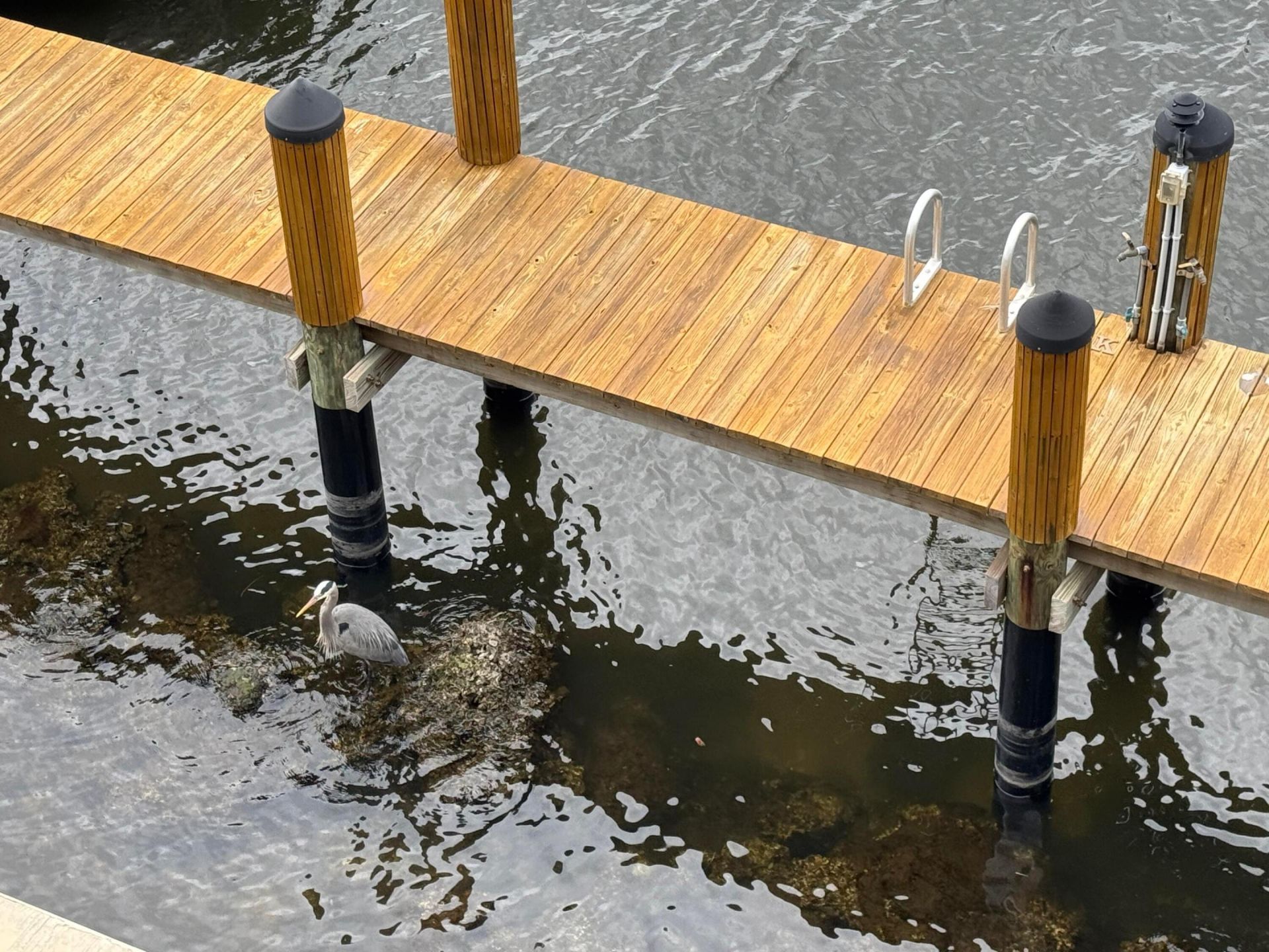 800 Andrews Avenue, Unit 14, Delray Beach, FL 33483 Photo