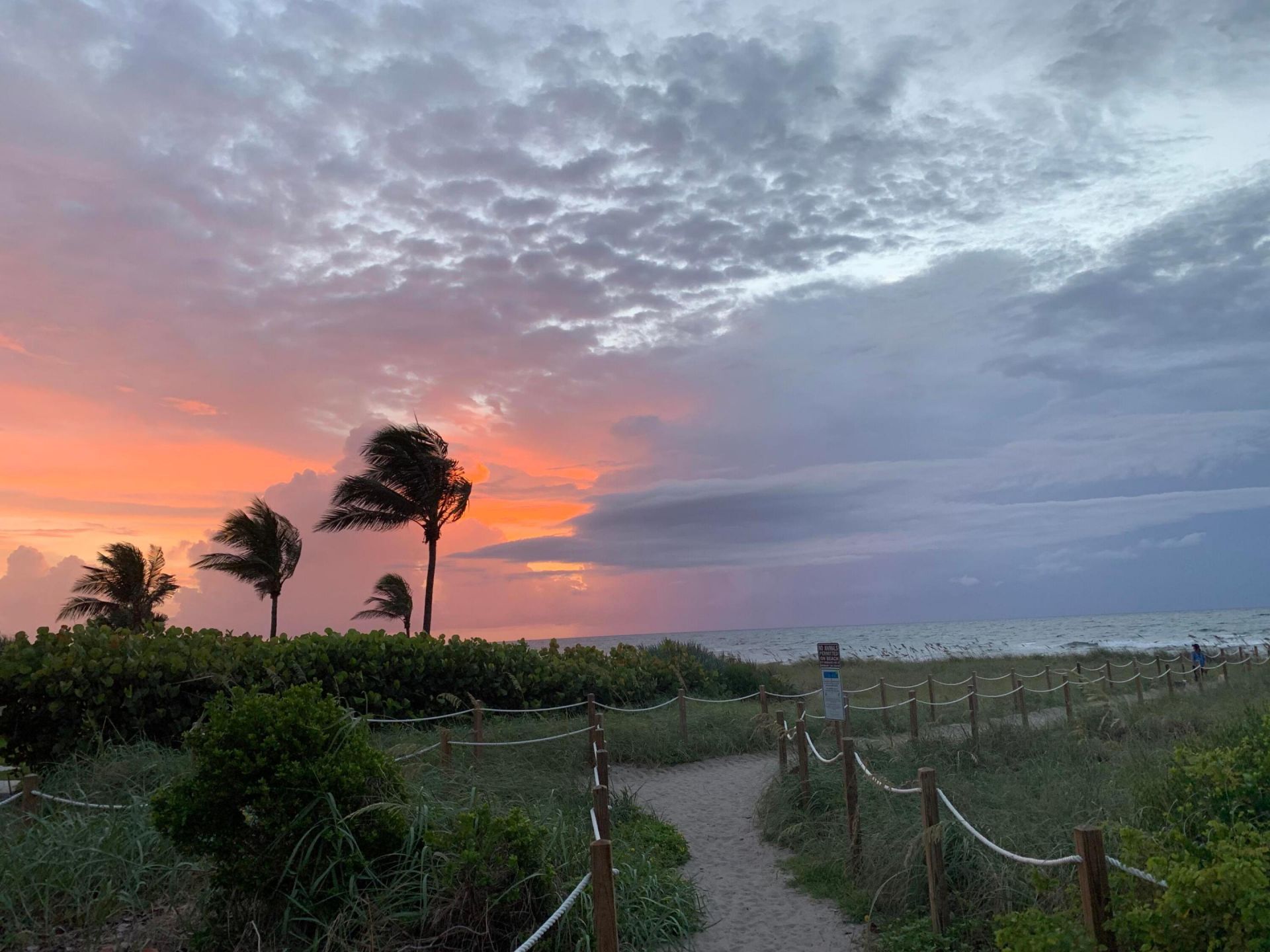 800 Andrews Avenue, Unit 14, Delray Beach, FL 33483 Photo