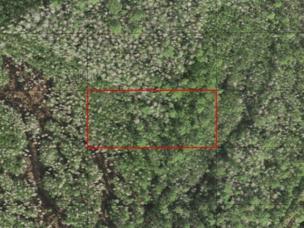 0 HOLOPAW GROVES RD, St. Cloud, FL 34772