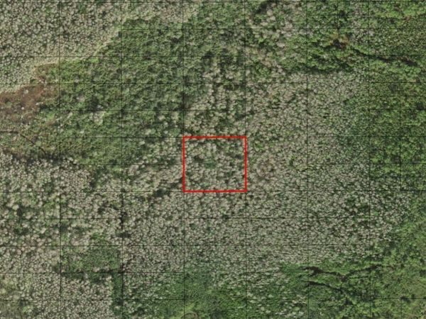 0 HOLOPAW GROVES RD, St. Cloud, FL 34772