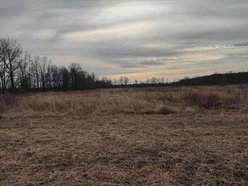 0 Twigg Hupp Road, Sunbury, OH 43074 Photo 2