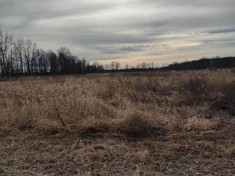 0 Twigg Hupp Road, Sunbury, OH 43074 Photo 3