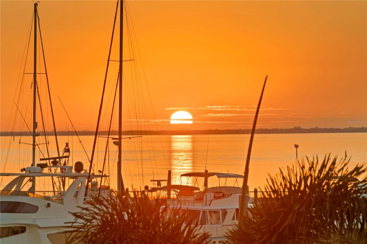 5905 Beacon Shores Street, Tampa, FL 33616 Photo