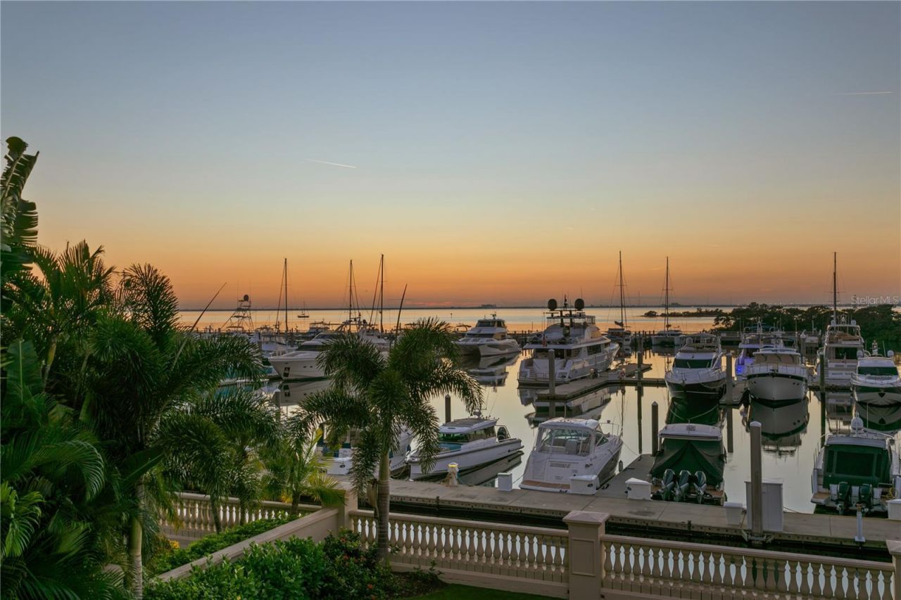 5905 Beacon Shores Street, Tampa, FL 33616 Photo