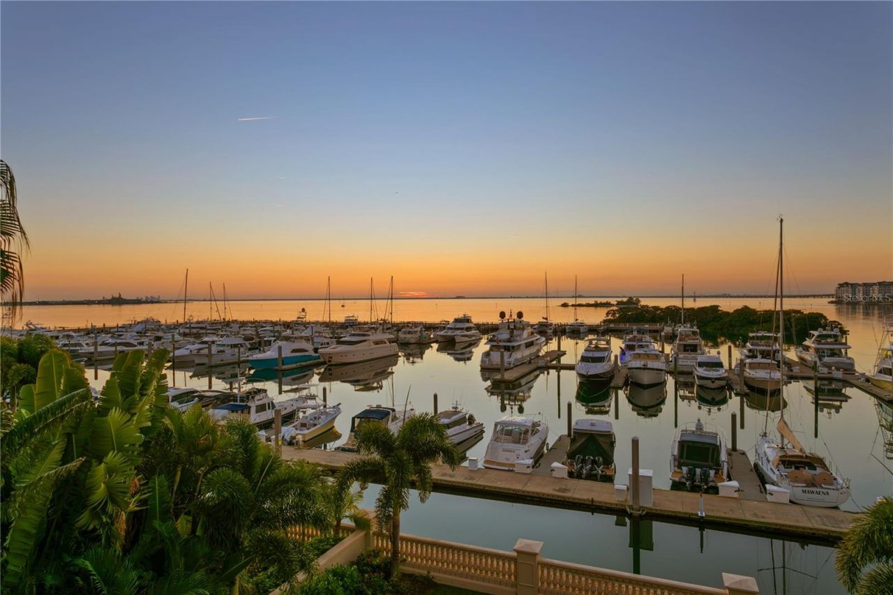 5905 Beacon Shores Street, Tampa, FL 33616 Photo