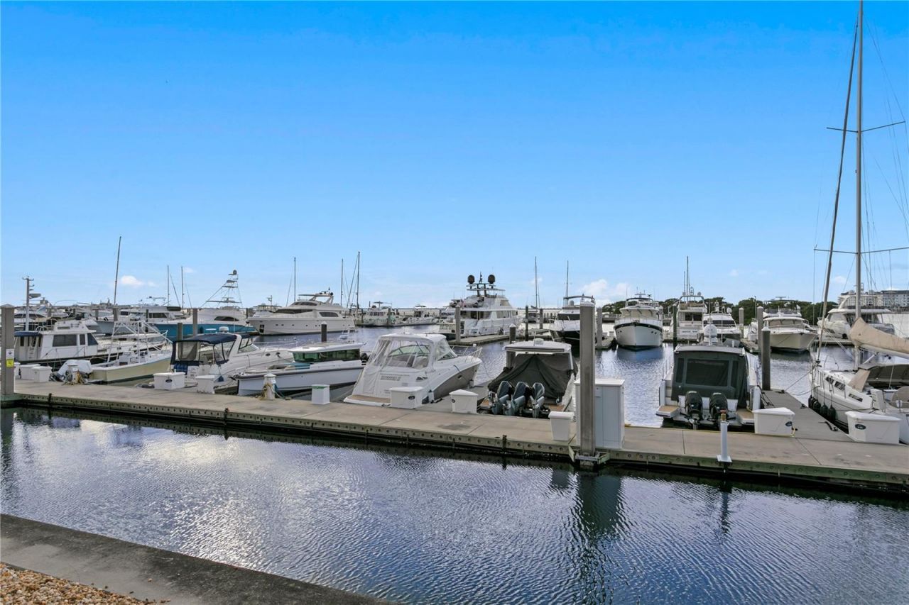 5905 Beacon Shores Street, Tampa, FL 33616 Photo