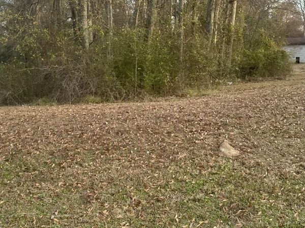 0 US-80, Morton, MS 39117