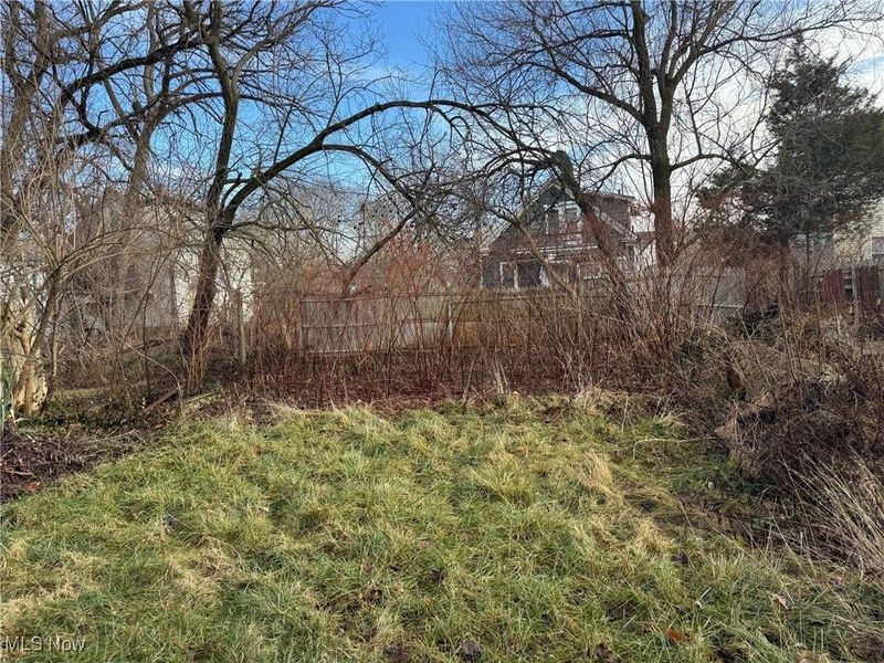 1011 Laurel Avenue, Akron, OH 44307 Photo 3