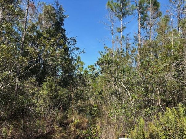 0 HOLOPAW GROVES RD, St. Cloud, FL 34772