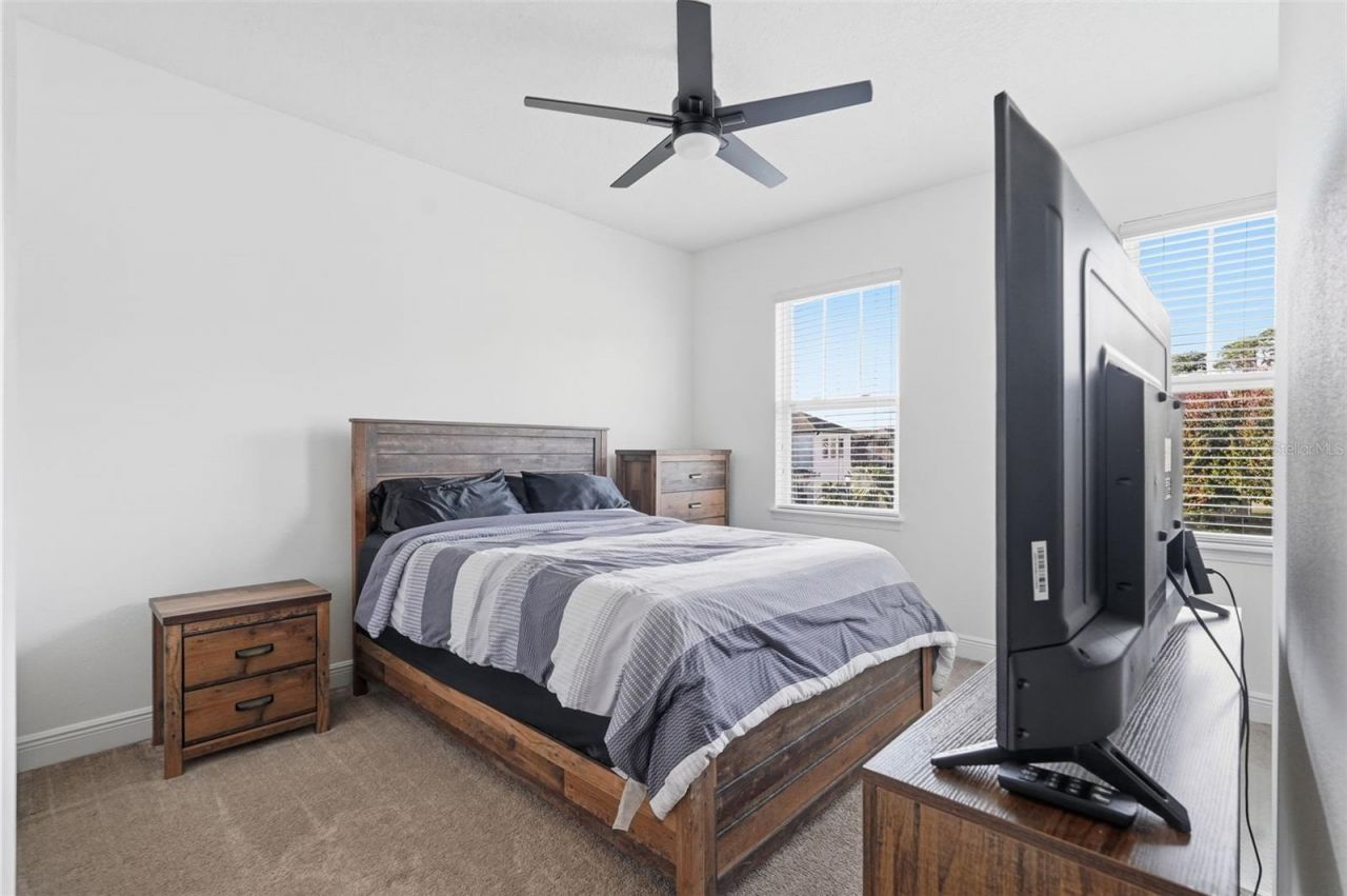 8113 Champions Forest Way, Tampa, FL 33635 Photo