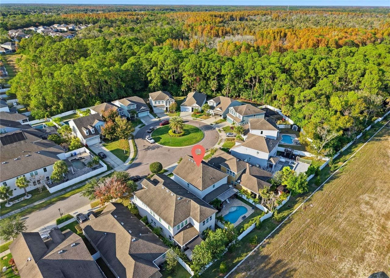 8113 Champions Forest Way, Tampa, FL 33635 Photo