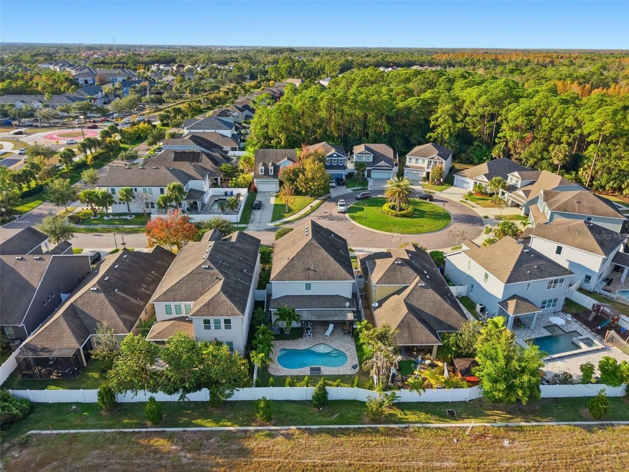 8113 Champions Forest Way, Tampa, FL 33635 Photo