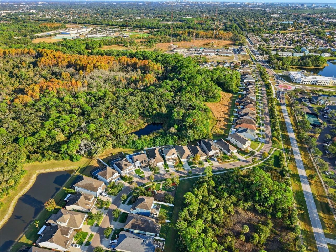 8113 Champions Forest Way, Tampa, FL 33635 Photo