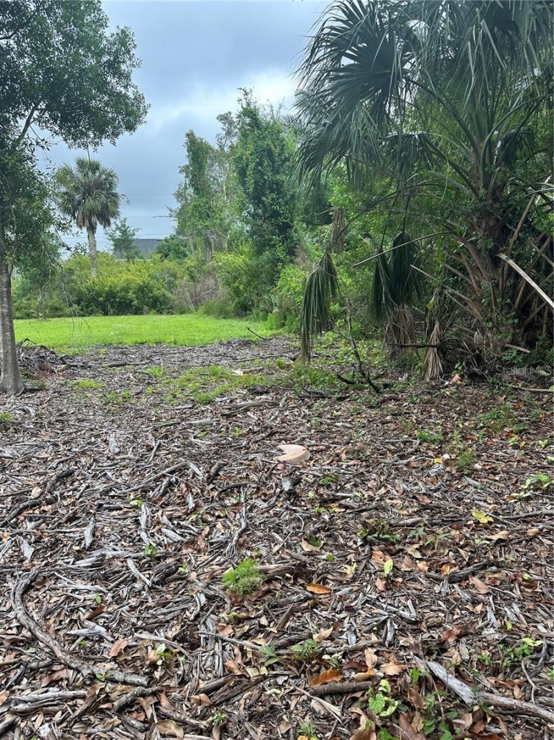 1015 Elm Street, Punta Gorda, FL 33950 Photo