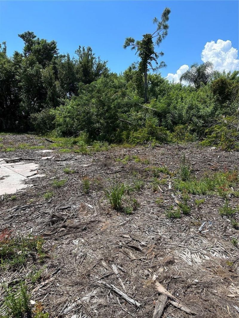 1015 Elm Street, Punta Gorda, FL 33950 Photo