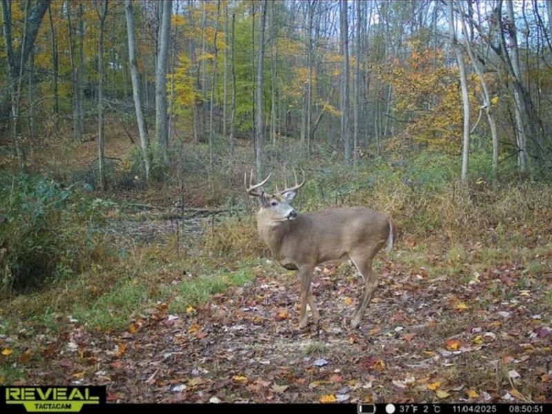 0 Burch Drive NE, Newark, OH 43055 Photo 10