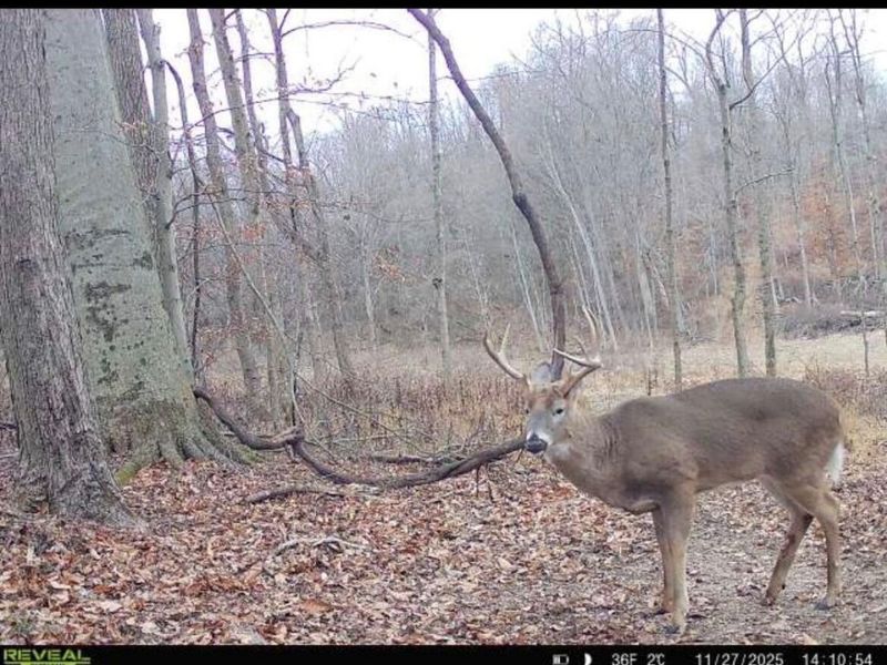 0 Burch Drive NE, Newark, OH 43055 Photo 11