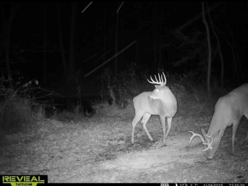 0 Burch Drive NE, Newark, OH 43055 Photo 12