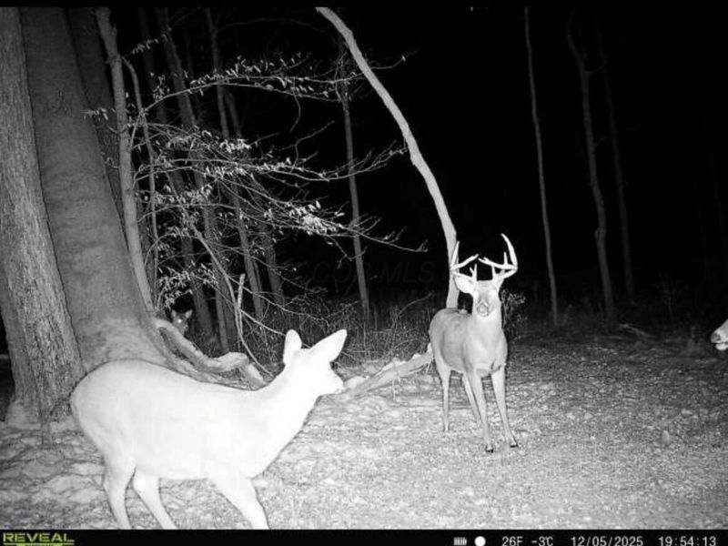 0 Burch Drive NE, Newark, OH 43055 Photo 13