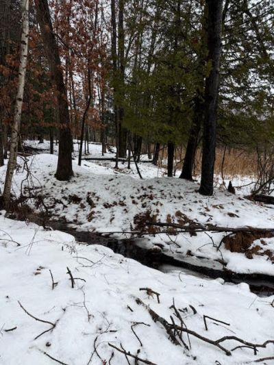 V/l 7 Mile Road, Stanwood, MI 49346 Main Photo