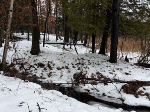 V/L 7 Mile Road, Stanwood, MI 49346