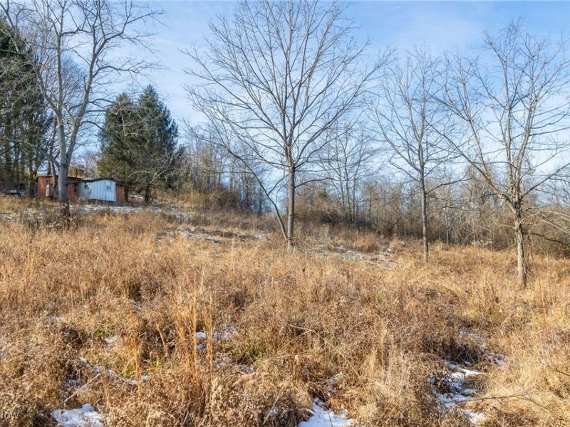 State Route 377, Malta, OH 43758 Photo 11