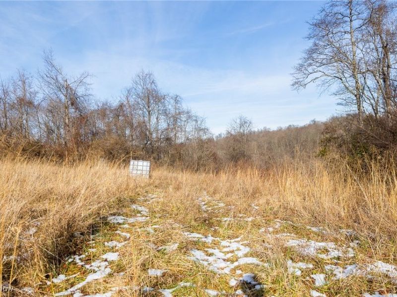 State Route 377, Malta, OH 43758 Photo 15