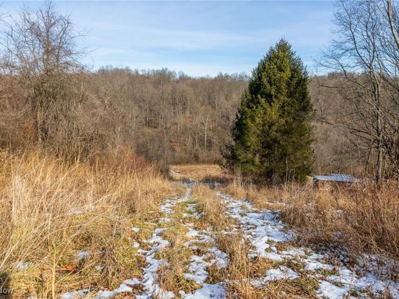 State Route 377, Malta, OH 43758 Photo 16