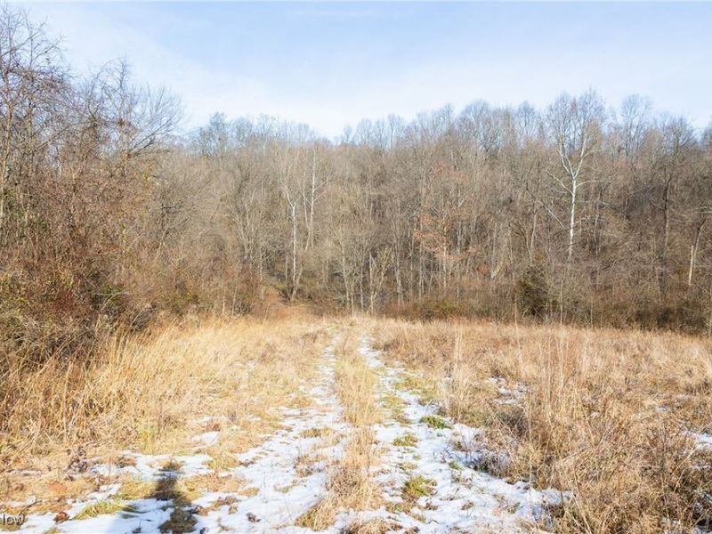 State Route 377, Malta, OH 43758 Photo 18