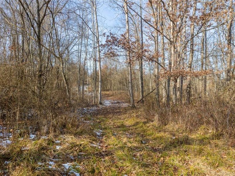 State Route 377, Malta, OH 43758 Photo 19