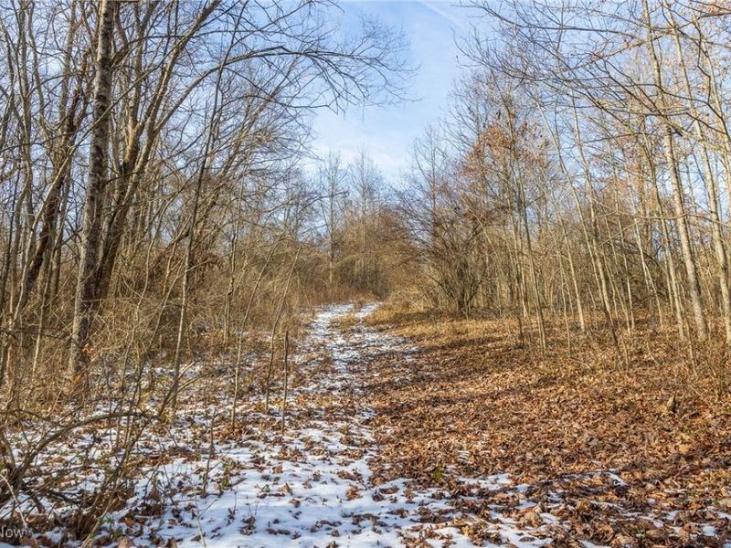 State Route 377, Malta, OH 43758 Photo 20