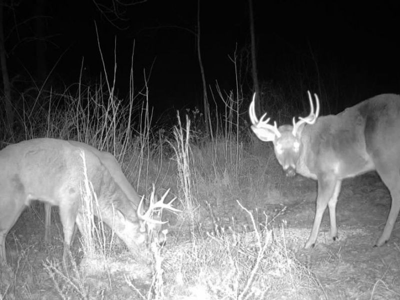 State Route 377, Malta, OH 43758 Photo 5