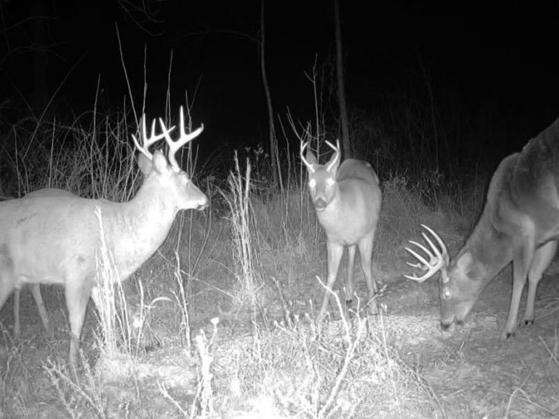 State Route 377, Malta, OH 43758 Photo 6