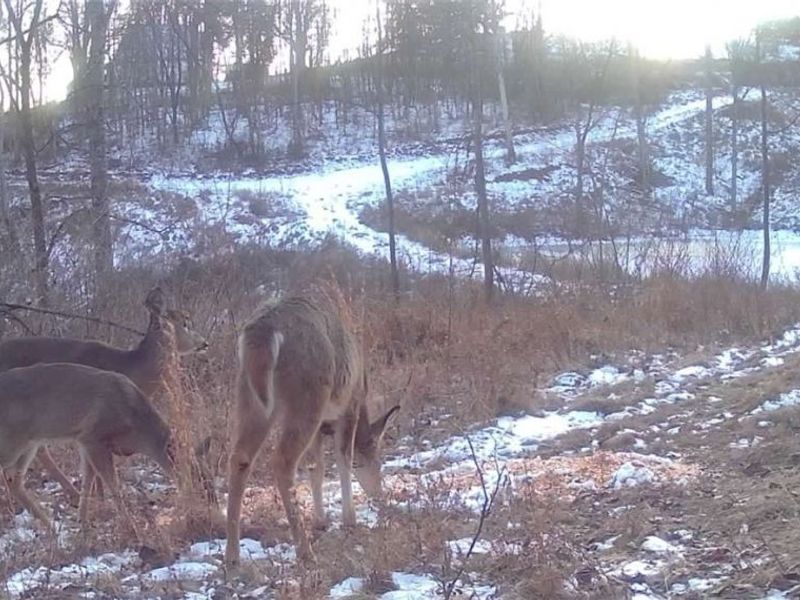 State Route 377, Malta, OH 43758 Photo 7