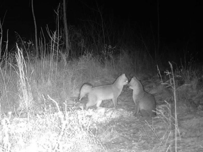 State Route 377, Malta, OH 43758 Photo 8