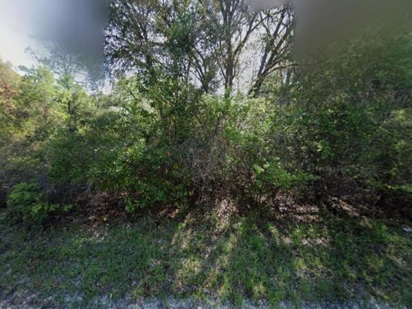 Tbd NE 799th Street, Old Town, FL 32680