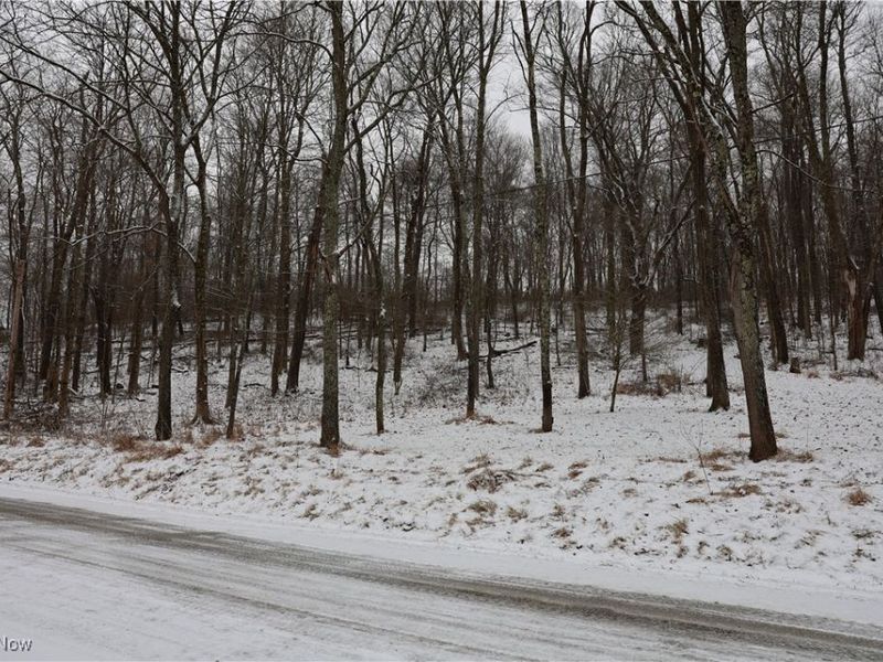 County Road 402, Warsaw, OH 43844 Photo 1