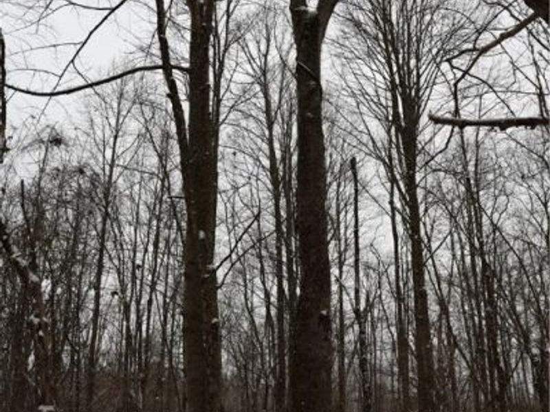 County Road 402, Warsaw, OH 43844 Photo 11