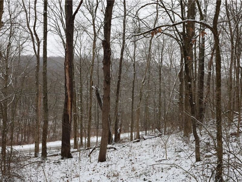 County Road 402, Warsaw, OH 43844 Photo 12