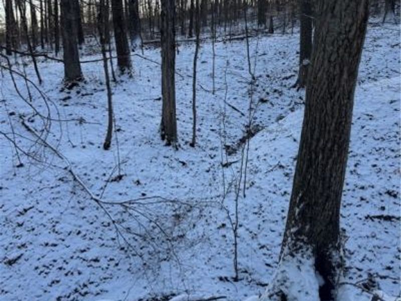 County Road 402, Warsaw, OH 43844 Photo 13