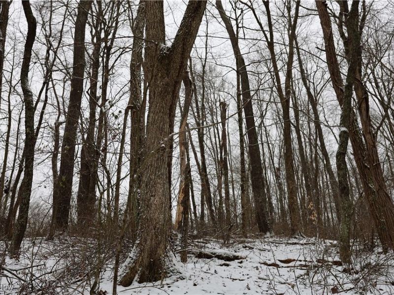 County Road 402, Warsaw, OH 43844 Photo 14