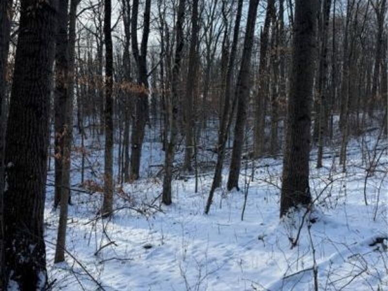 County Road 402, Warsaw, OH 43844 Photo 16