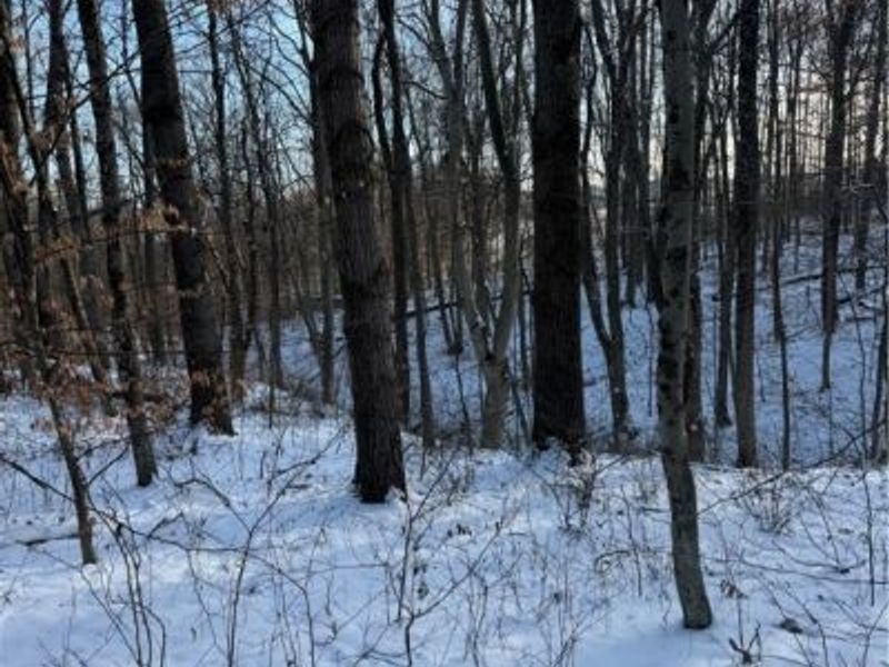 County Road 402, Warsaw, OH 43844 Photo 17