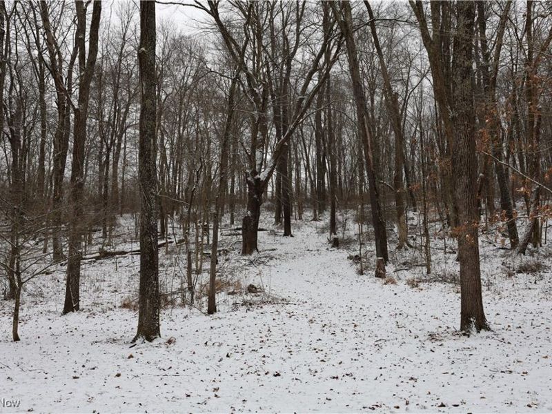 County Road 402, Warsaw, OH 43844 Photo 2