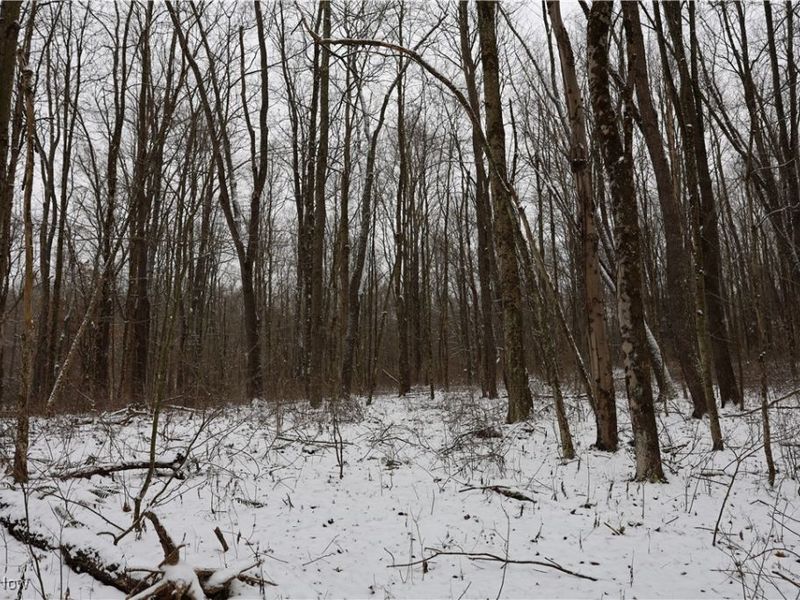 County Road 402, Warsaw, OH 43844 Photo 4